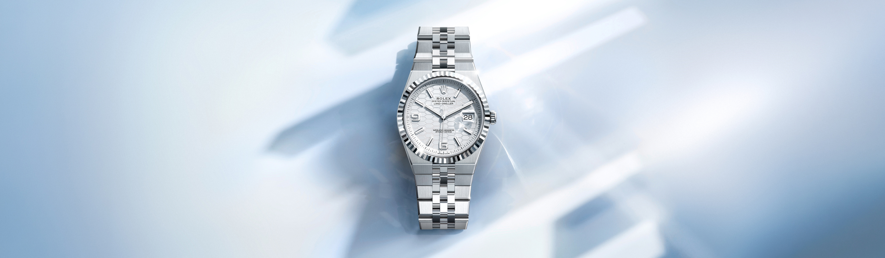 Rolex Land-Dweller watches - Vendemmia Joyero