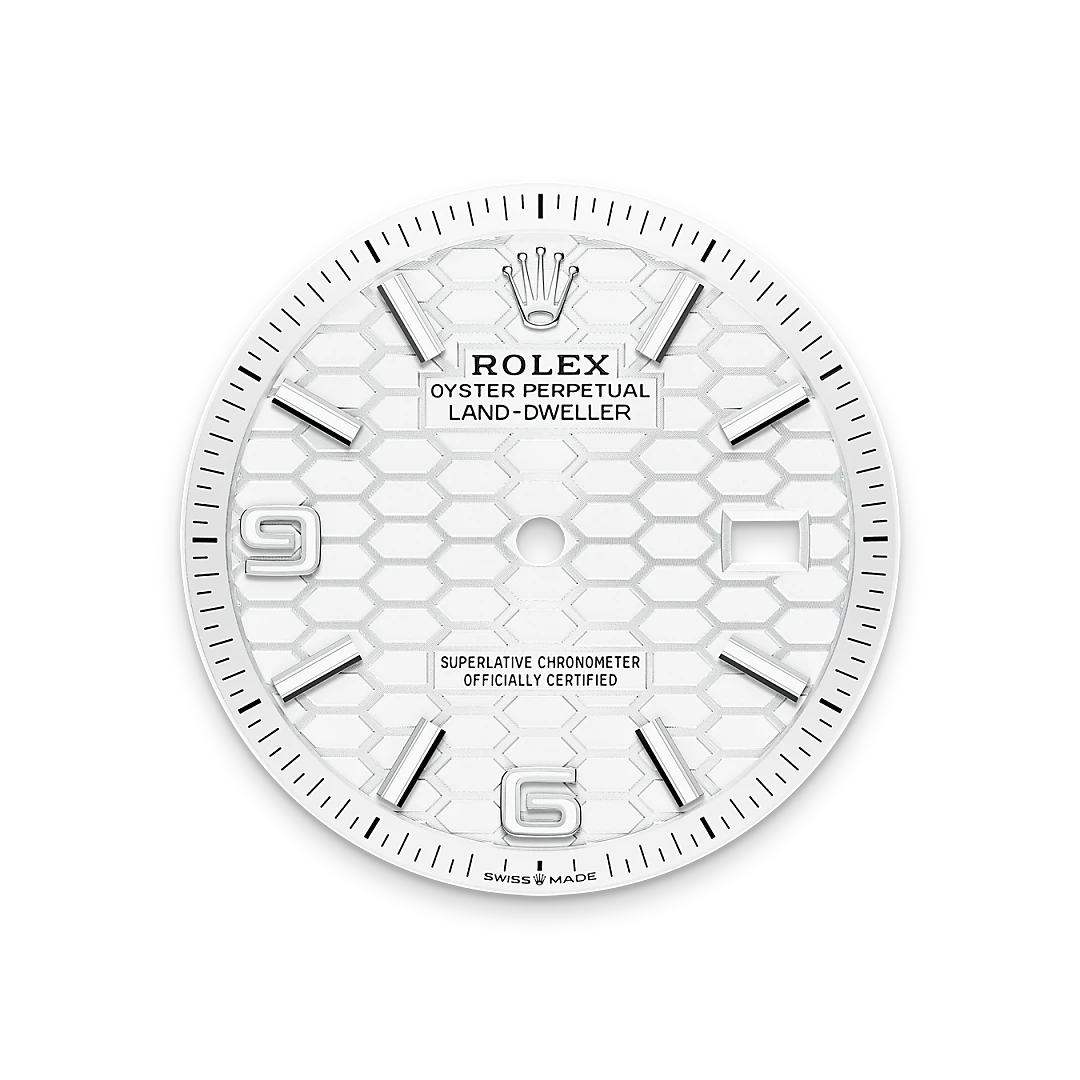 Rolex Land-Dweller in Rolesor blanco —combinación de acero Oystersteel y oro blanco, M127234-0001 Vendemmia Joyero