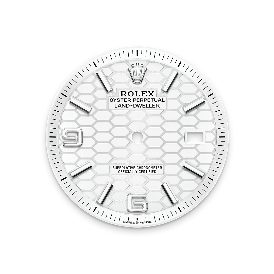 Rolex Land-Dweller in Rolesor blanco —combinación de acero Oystersteel y oro blanco, M127334-0001 Vendemmia Joyero