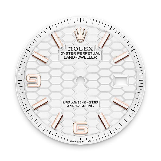 Rolex Land-Dweller in Oro Everose de 18 quilates, M127235-0001 Vendemmia Joyero