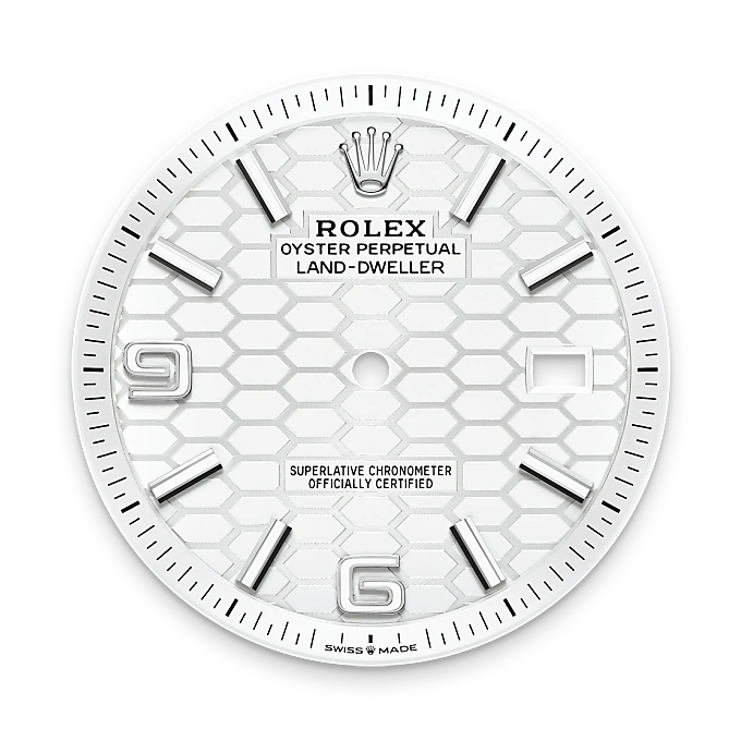 Rolex Land-Dweller in Rolesor blanco —combinación de acero Oystersteel y oro blanco, M127334-0001 Vendemmia Joyero