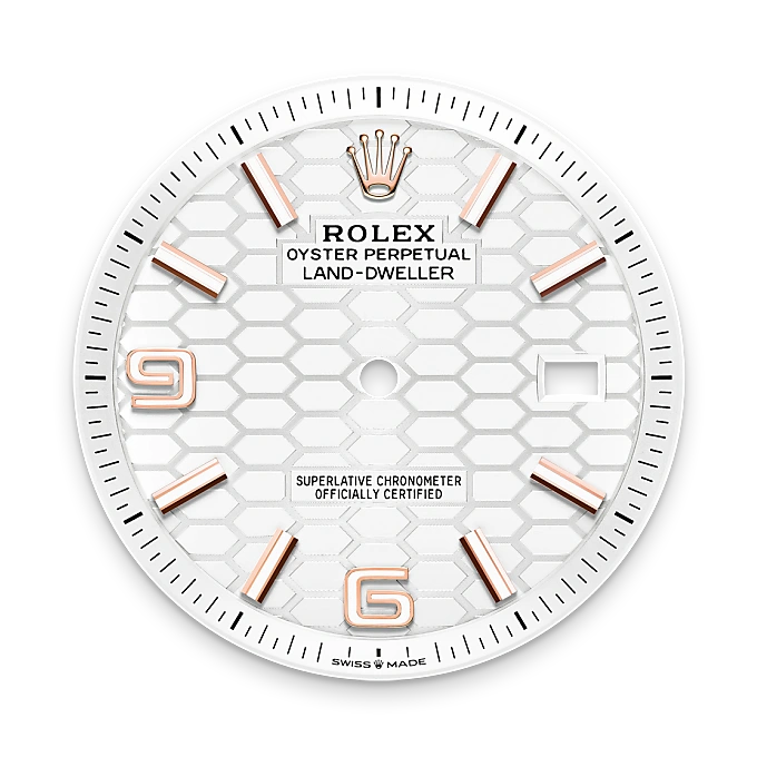 Rolex Land-Dweller in Oro Everose de 18 quilates, M127335-0001 Vendemmia Joyero